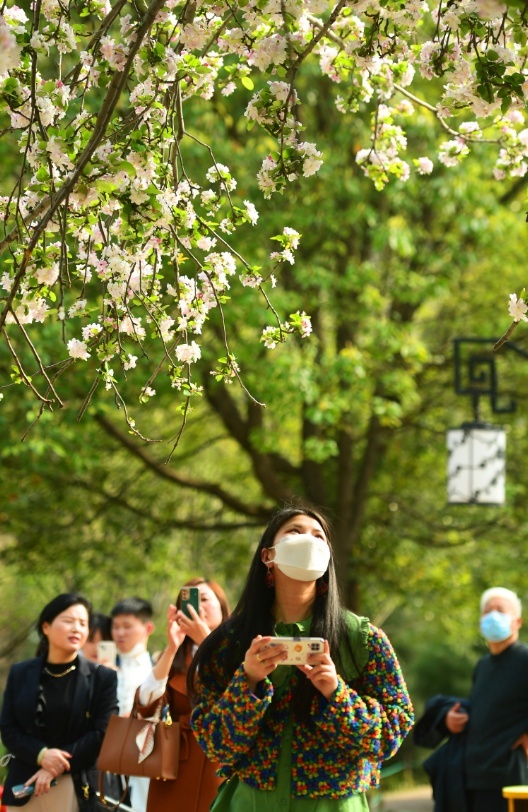【行走河南·读懂中国】“云”赏郑州春日花海