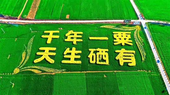 河南伊川县：为乡贤创业搭建文化共建平台