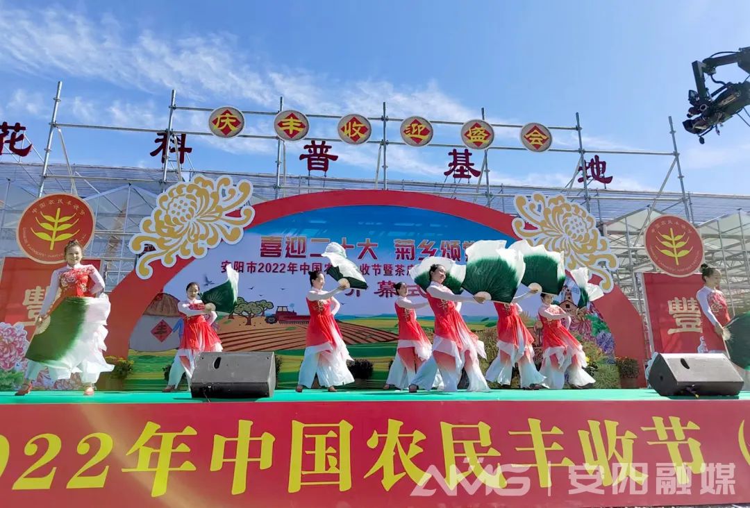 安阳：2022年“中国农民丰收节”暨茶店镇第七届菊花文化旅游节开幕