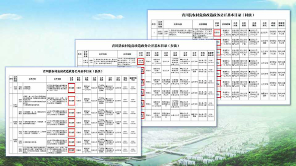 满足差异化需求 构建“三级目录”体系——全国基层政务公开标准化规范化试点目录梳理的“青川样本”