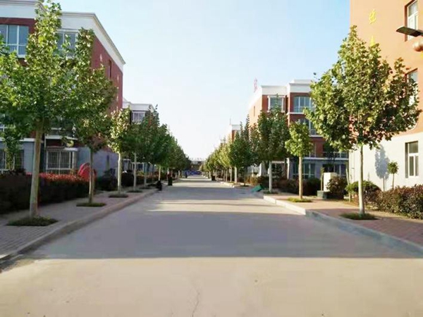 濮阳县习城乡  大力推进农村人居环境整治工作