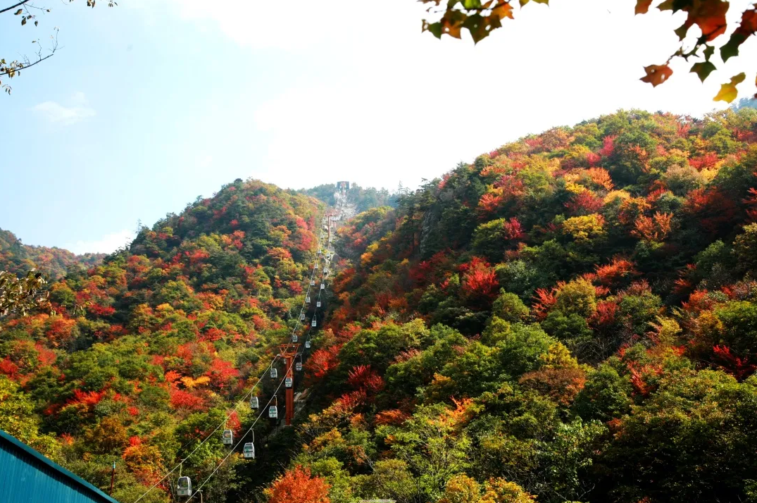 【行走河南·读懂中国】“豫见春天·惠游老家”——南阳34家景区免门票