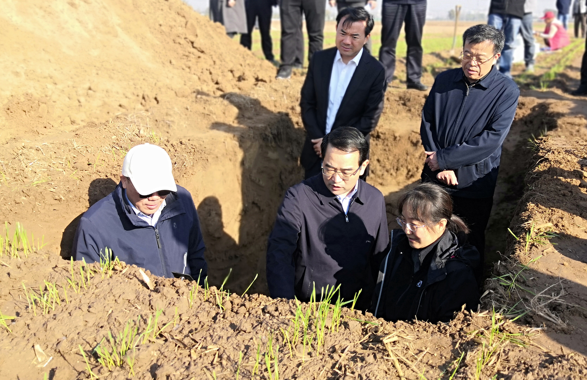 孙巍峰到新乡调研种养循环和土壤“三普” 工作时强调:加快建设“地力加油站” 夯实粮食安全根基 孙巍峰到新乡调研种养循环和土壤“三普” 工作时强调:加快建设“地力加油站” 夯实粮食安全根基