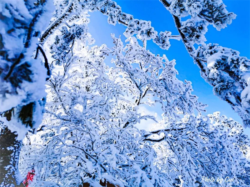 洛阳白云山开园倒计时2天