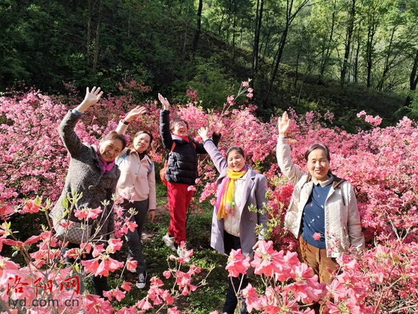 第二十一届河南汝阳杜鹃花节暨炎黄文化节开幕 第二十一届河南汝阳杜鹃花节暨炎黄文化节开幕