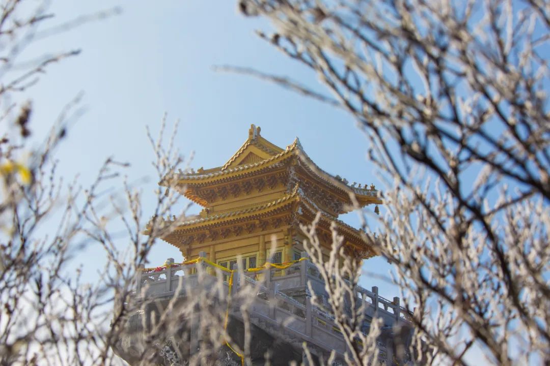 穿越时间长河，云赏老君山历年雪景