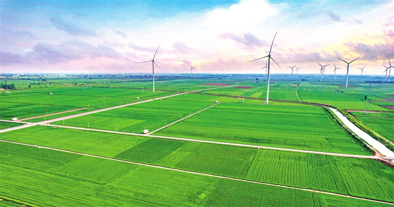 在希望的田野上丨在乡村振兴中加快实现农业强省目标