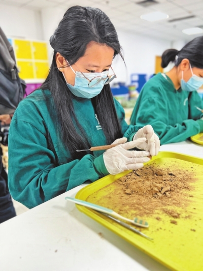 行走河南·读懂中国丨科技考古助力中华文明探源 双槐树遗址社会形态“复活”