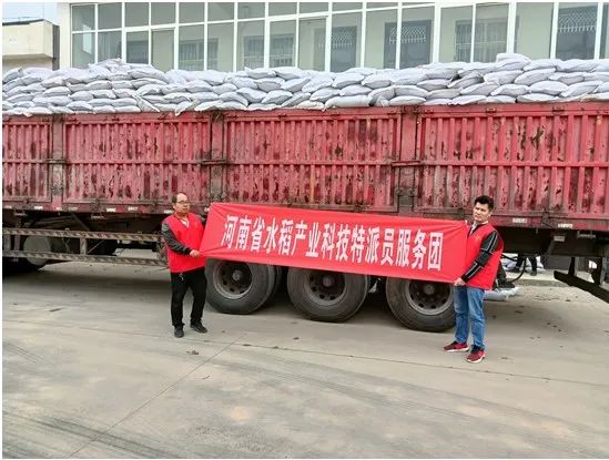 四送两强一助力 科技赋能促振兴——河南省水稻产业科技特派员服务团送农资送技术到田间