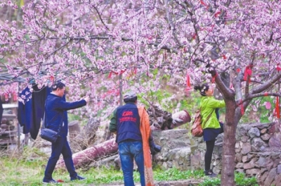 疫后“豫”来“豫”美 “老家河南”风景独好  河南文旅正式拉开复苏序幕 