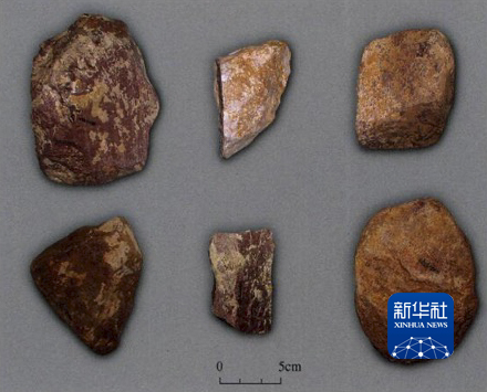《新华网》郑州考古为中国—东亚现代人区域连续演化提供重要证据