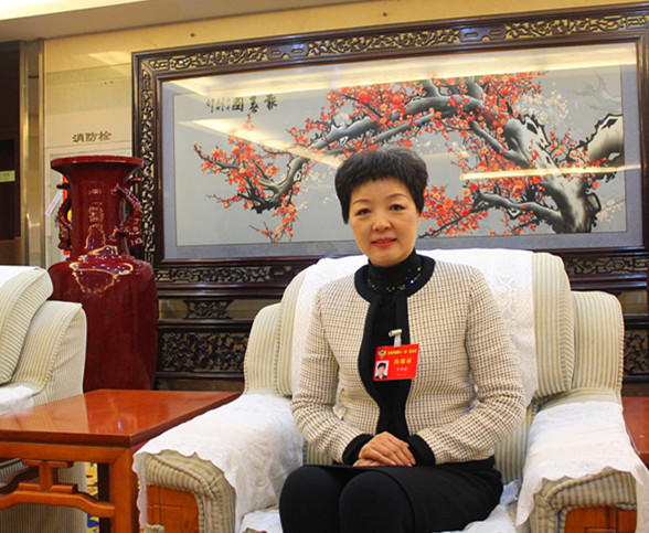 河南省政协委员王洪波