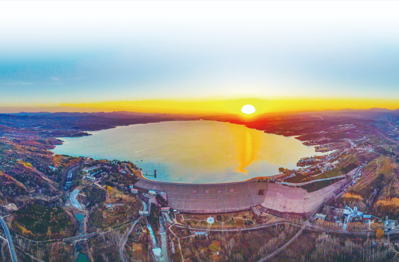 洛阳候鸟飞舞陆浑湖