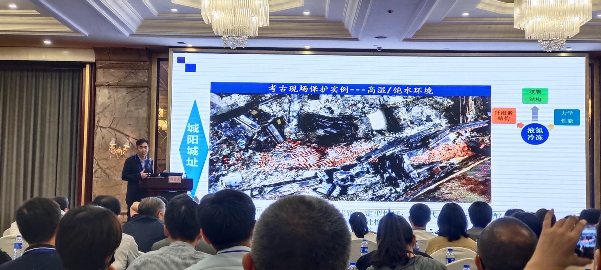 互惠双赢 中国文物保护技术协会<br>第十一次学术年会在郑召开