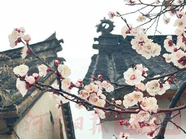 河南鲁山：乡村旅游在转型 乡村振兴有抓手