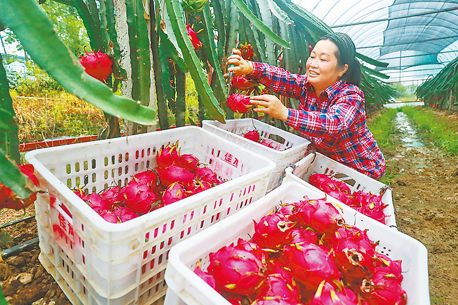 多彩農(nóng)業(yè) 助農(nóng)增收
