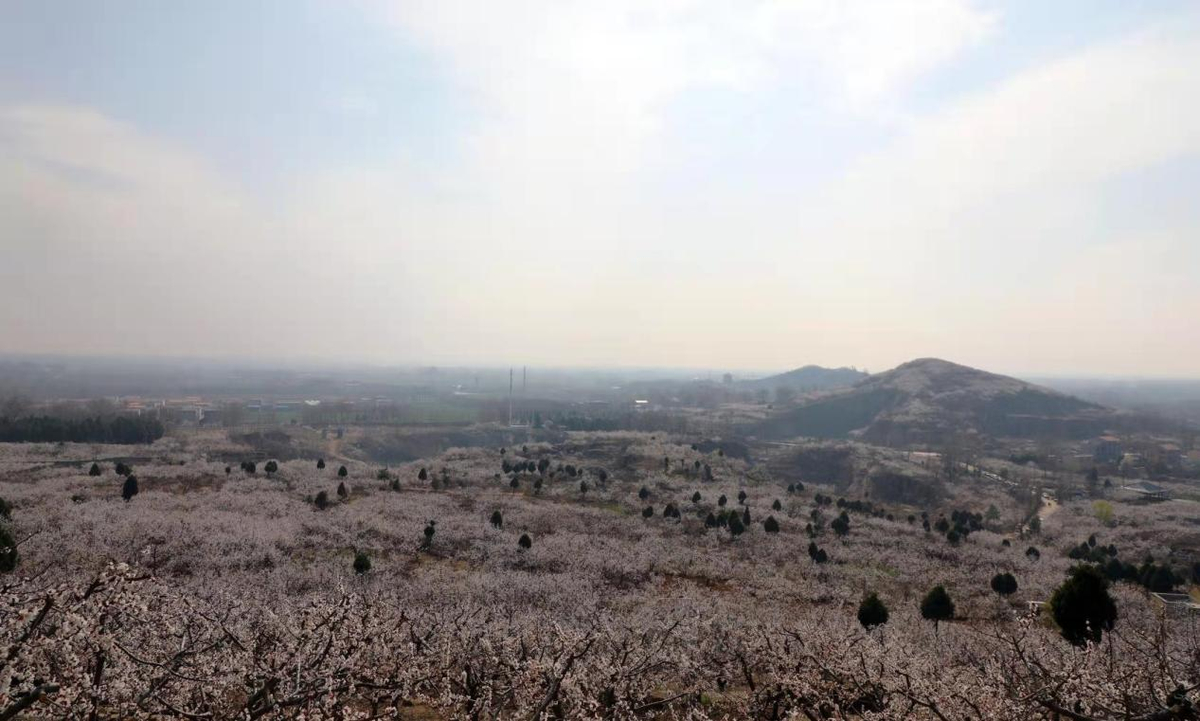 永城芒砀山：文旅融合为乡村振兴蓄势赋能