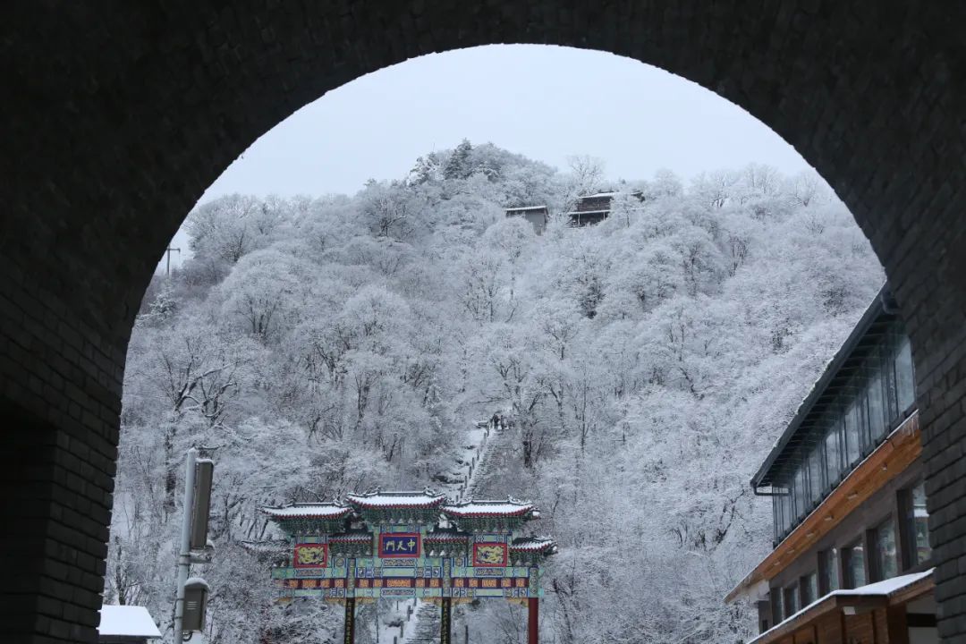 穿越时间长河，云赏老君山历年雪景