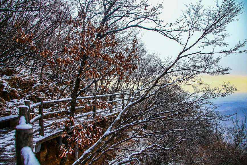 云台山：半山红叶半山雪
