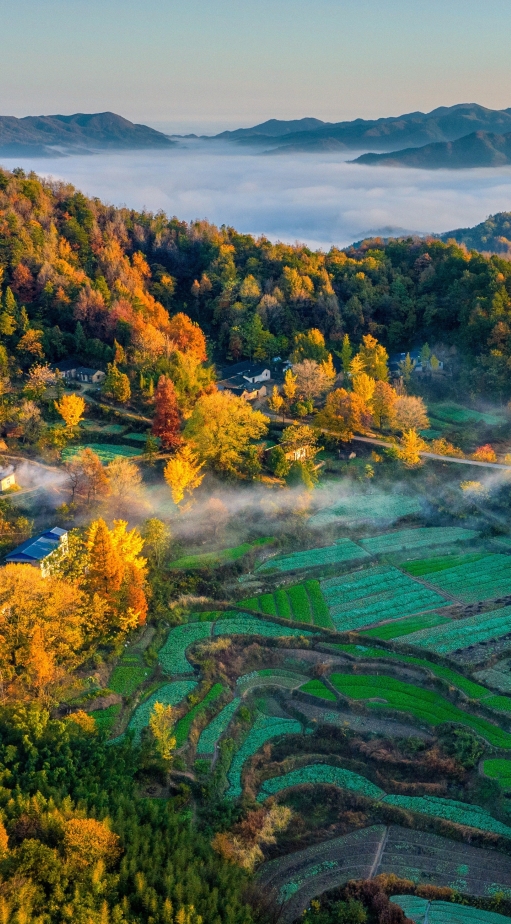 橙黄橘绿时新县秋色深