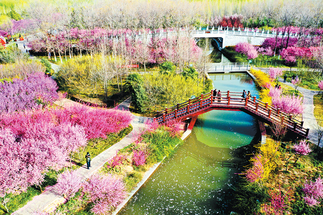 花海醉游人