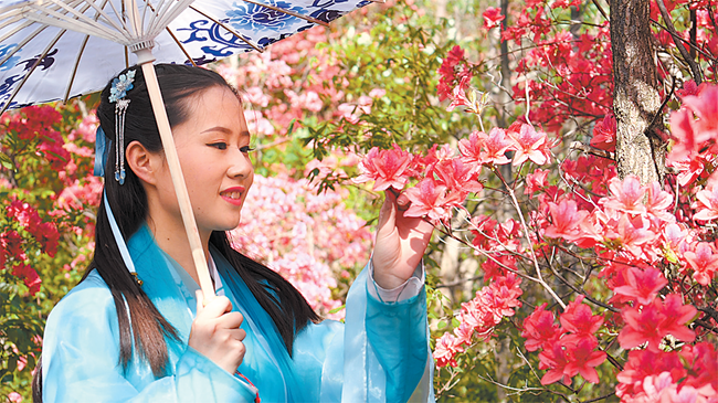 内乡：杜鹃花开富乡邻