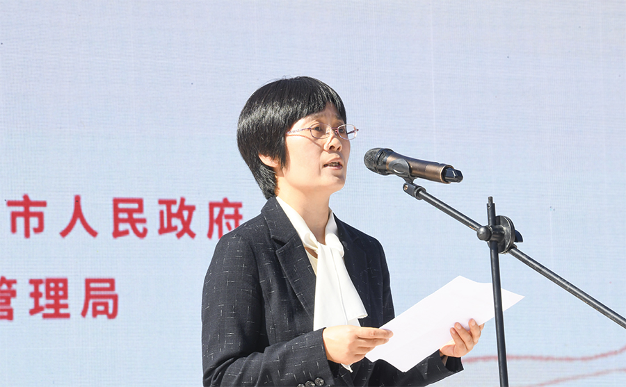 河南省第二届“惠民文化节”河南省首届传统武术文化展演活动在登封举行