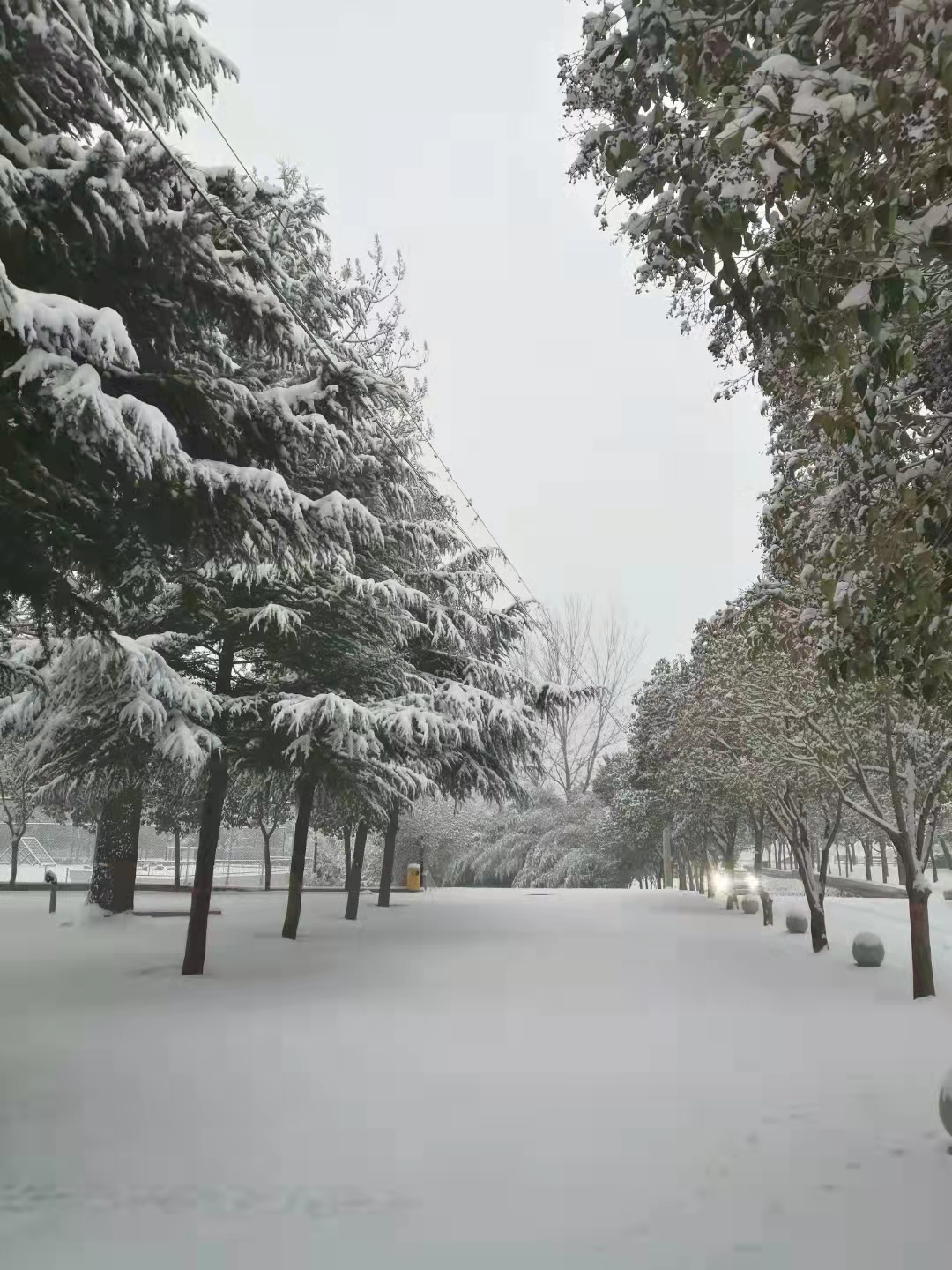 校园雪景