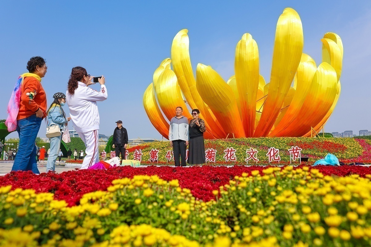 开封：50余万盆菊花斗艳 满城芳菲别样妆