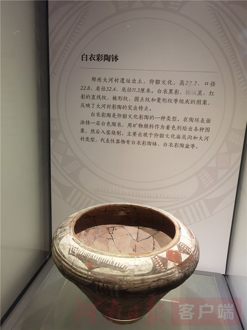 又见5000年！大河村遗址博物馆恢复开馆
