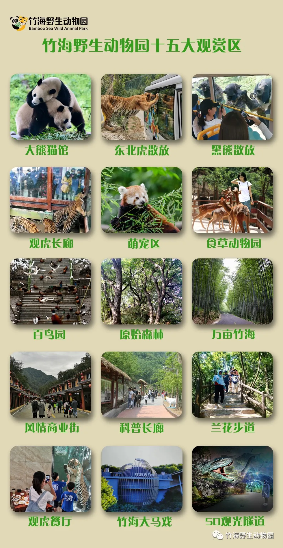 “春满中原 栾川过年”<br>文旅大餐活力全开！