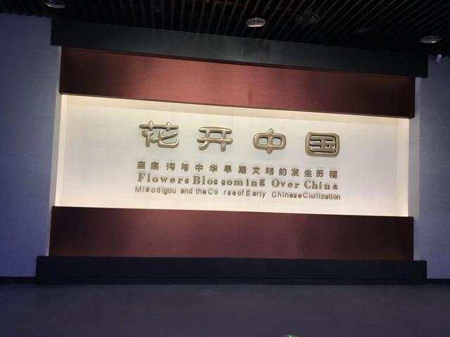 河南9项入选新时代博物馆百大陈列展览精品