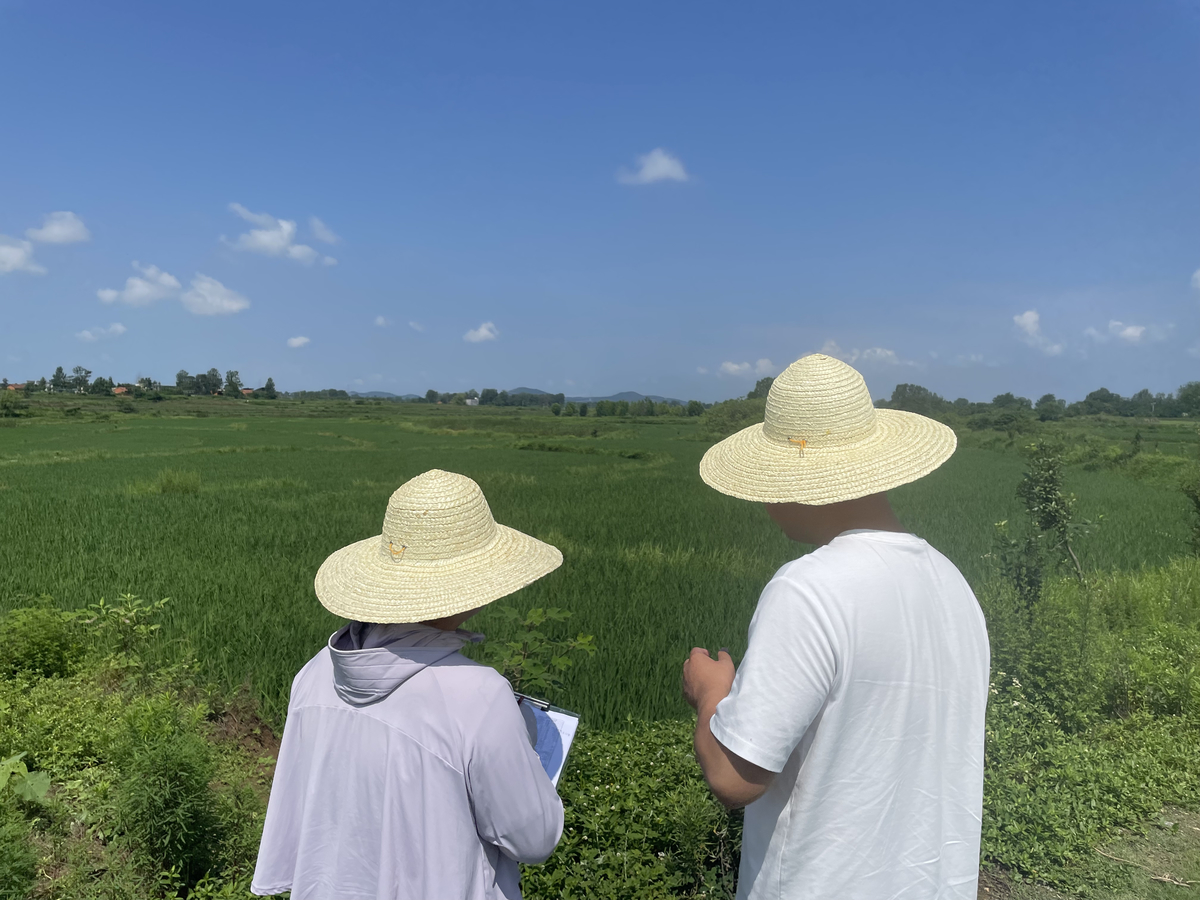 强农业美乡村 信阳审计在行动