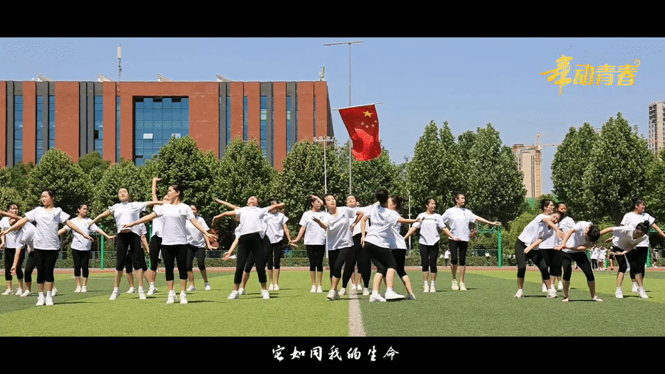 收官！河南5校师生“联”舞——这是他们的“舞动青春”！