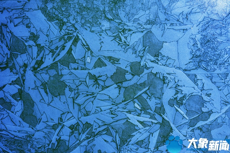 洛阳冰裂纹奇观惊艳新春