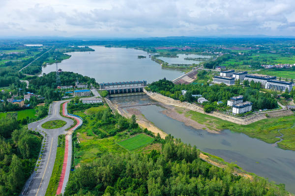 【行走河南·读懂中国】光山：龙山湖国家湿地公园美景如画