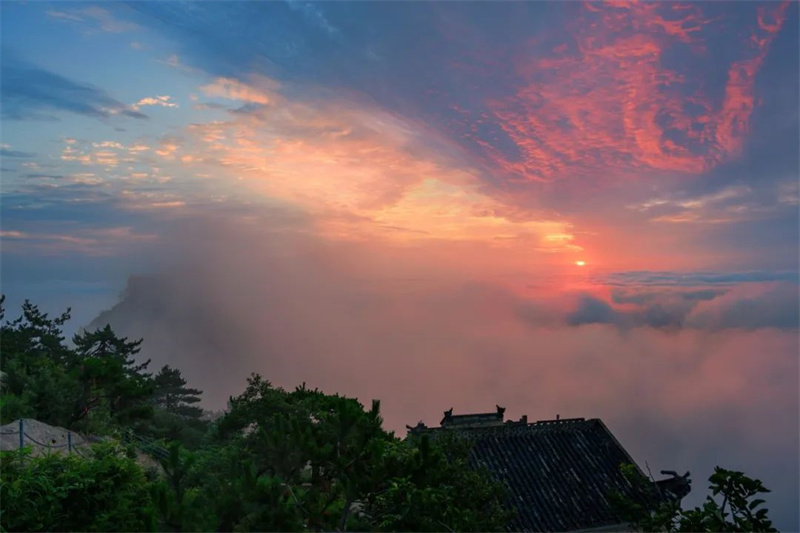 金秋时节 和金兰山来一场心灵之约