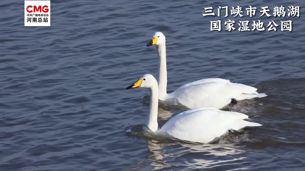 河南冬季限定美景已上线