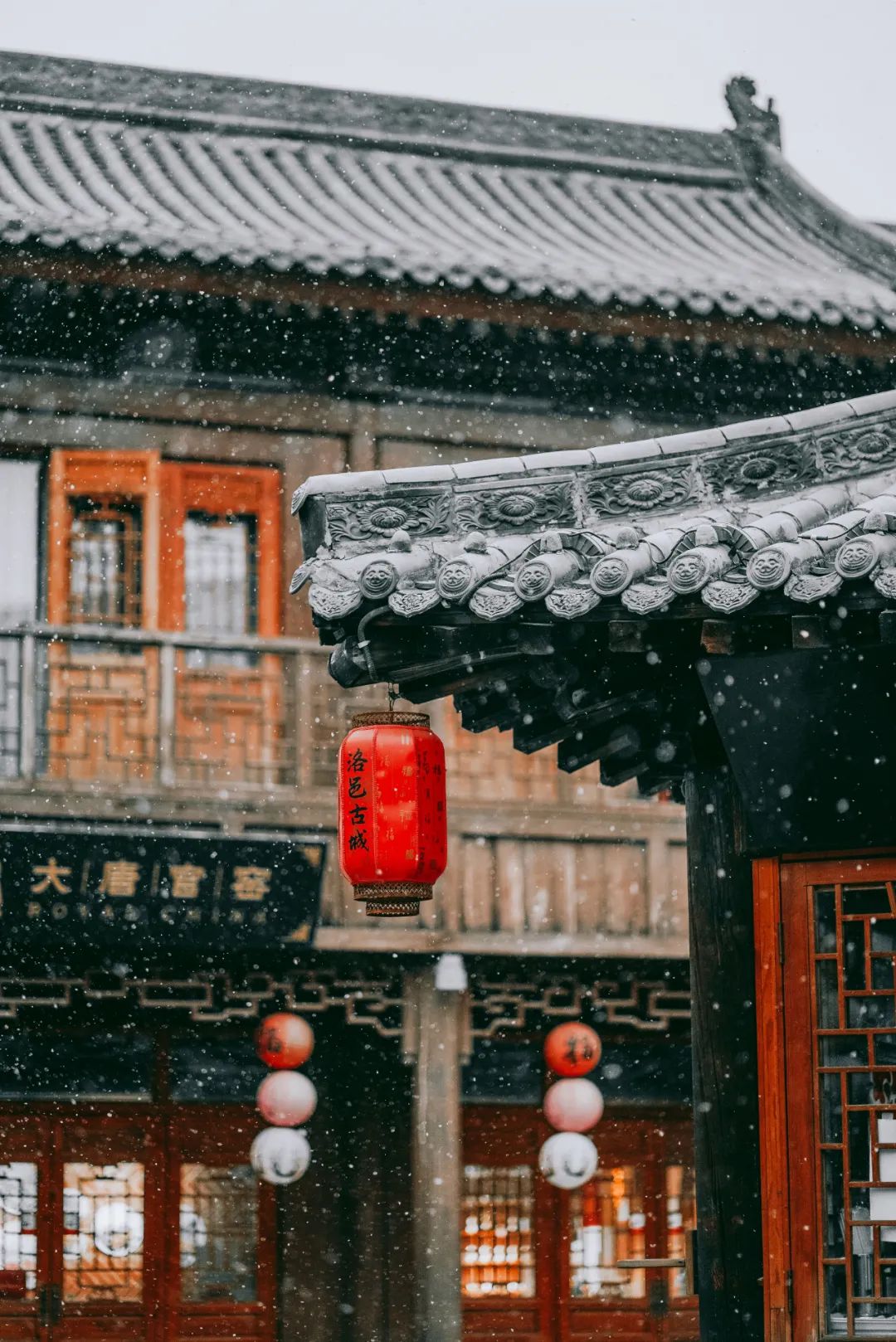 洛阳