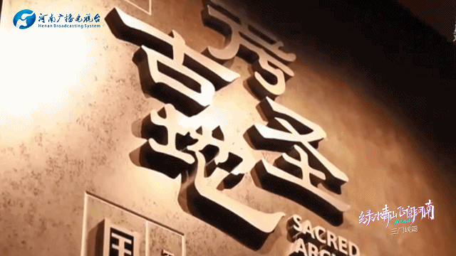 【行走河南·读懂中国】九曲黄河浪淘沙 天鹅蹁跹三门峡