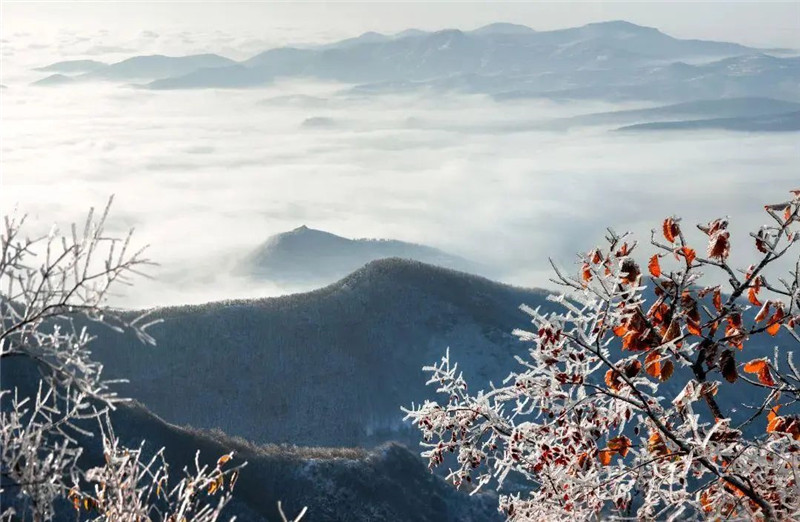 雪后许昌 一帧一画美出“天际”