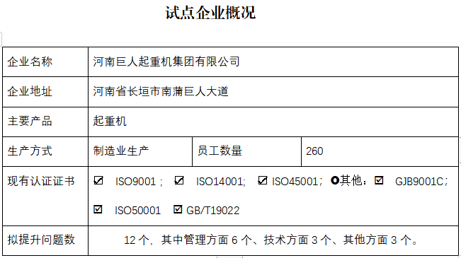 河南巨人起重机集团有限公司