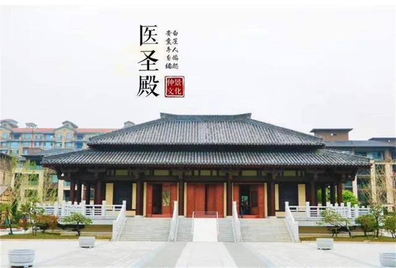 【行走河南·读懂中国】西峡旅游再添新名片 仲景养生小镇落成