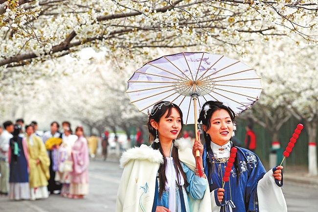 樱花盛开