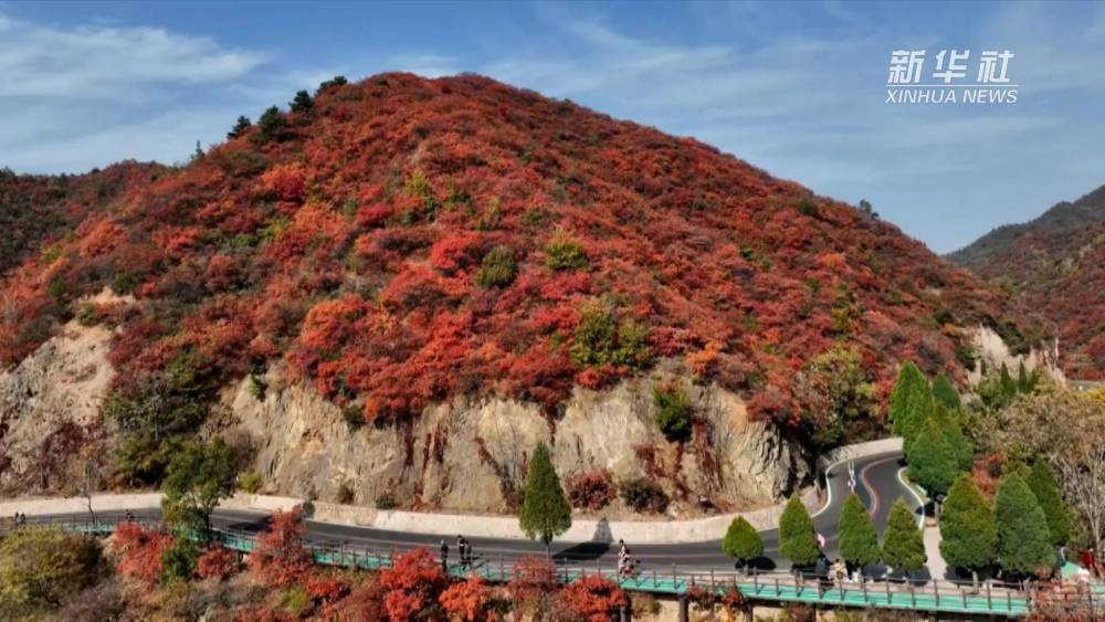 【行走河南·读懂中国】秋到王屋山 看漫山红叶醉秋色