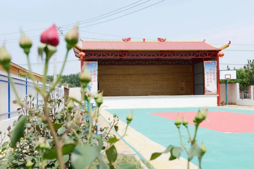 平顶山严村：花海+民宿 河波花色两相映