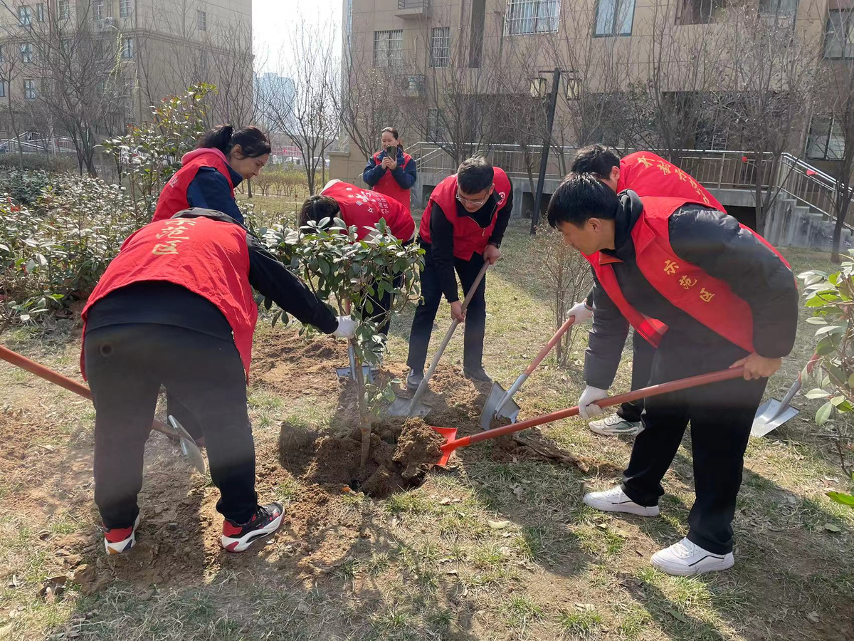 春来万物苏 植树正当时——开封市审计机关开展春季义务植树活动