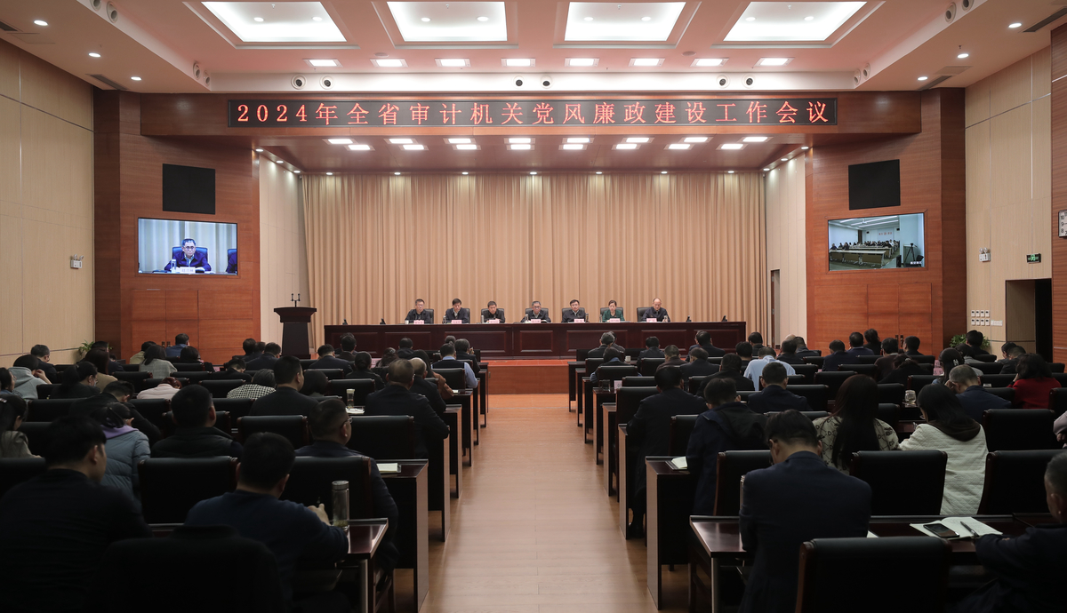 河南省审计厅召开全省审计机关2024年度党风廉政建设工作会议