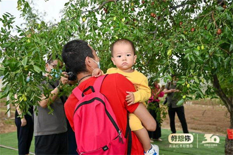 2022年中华枣乡风情游正式开游