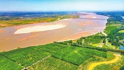 吹沙走浪行千里 黄河两岸尽染绿<br>（奋进新征程 建功新时代 沿着总书记的足迹）